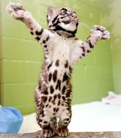 Анастасия Сивачева | Москва