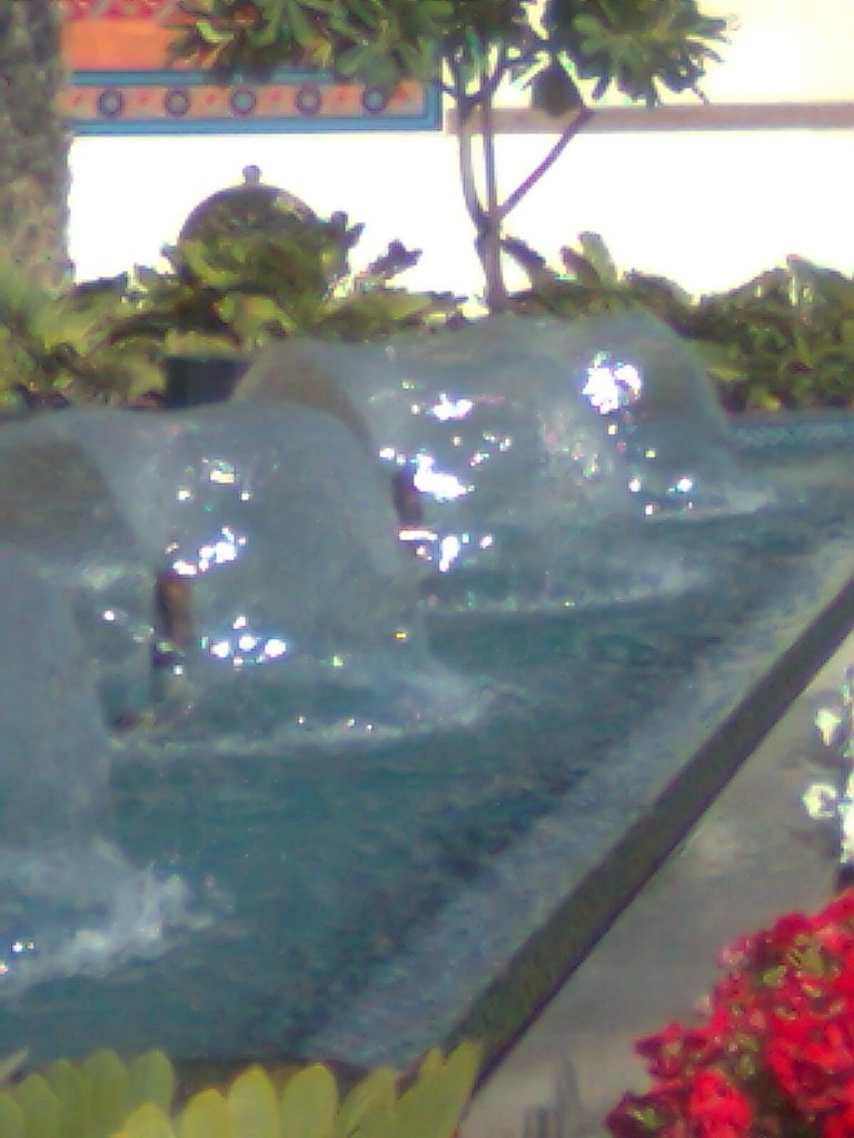 Сергей Никитин | Санкт-Петербург