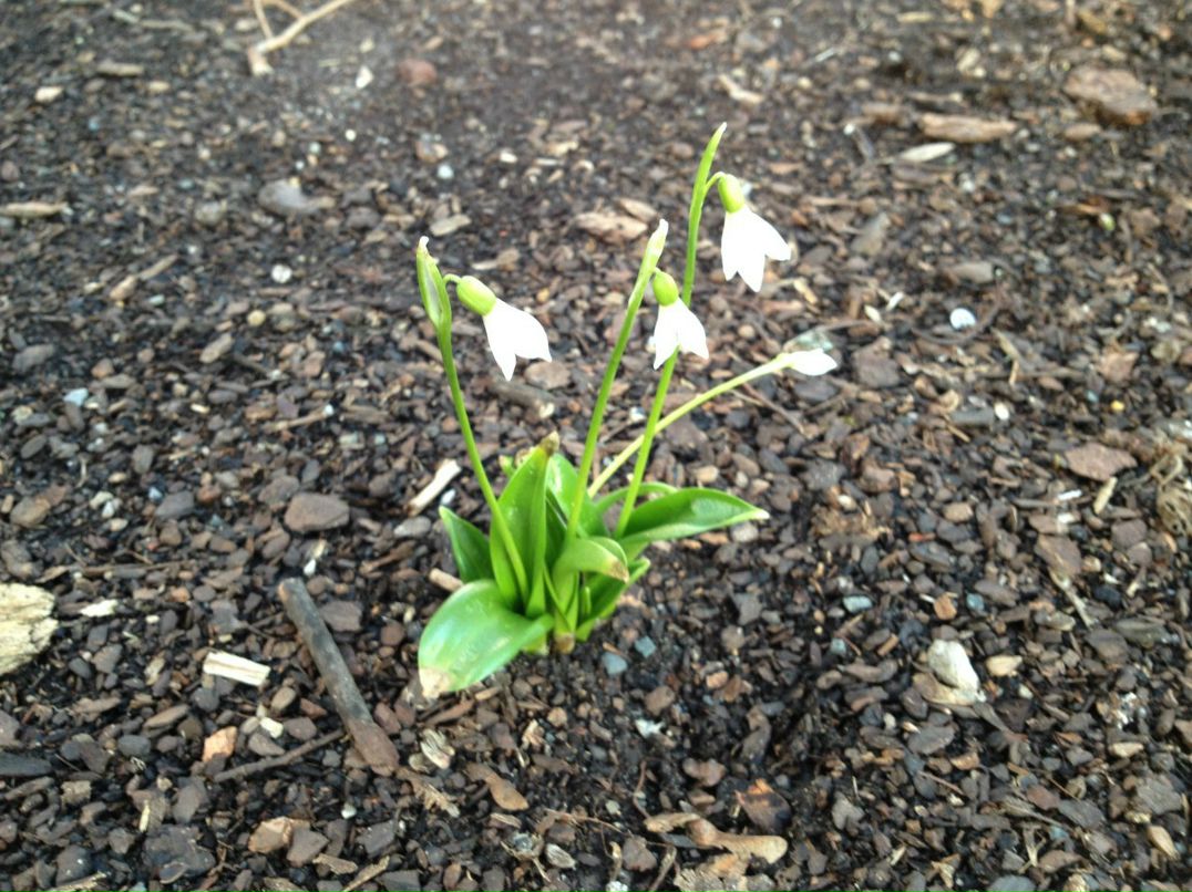 Александра Климашевич | Минск