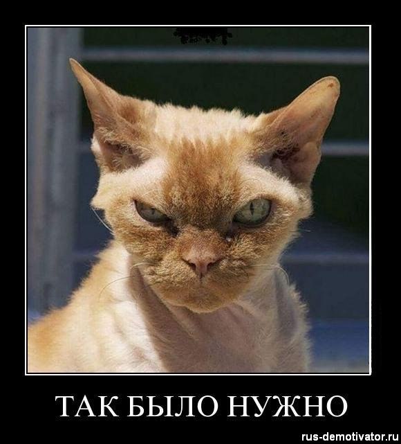 Ирина Вильховецкая | Луганск