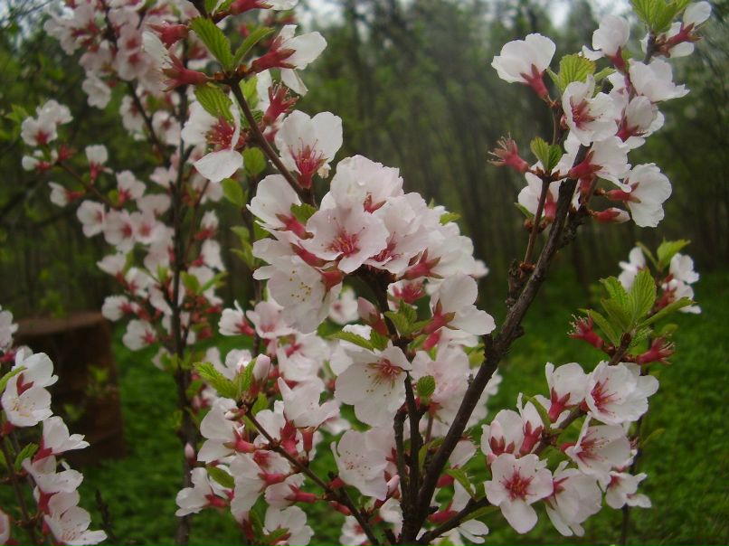 Варвара Алёшина | Москва