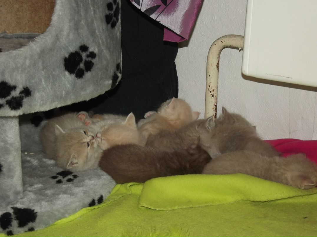 Оксана Морозова | Санкт-Петербург