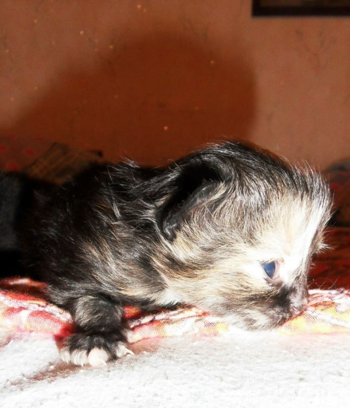 Светлана Вичикова (Назарова) | Яранск