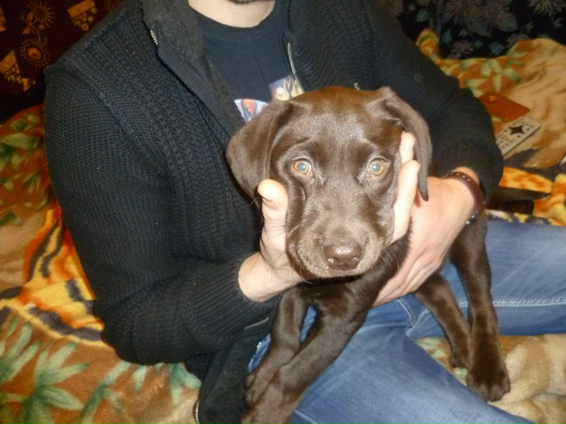 Александр Козин | Могилёв