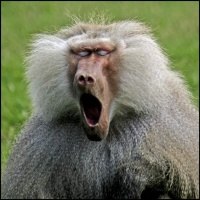 Фаниль Гайфуллин | Чернигов