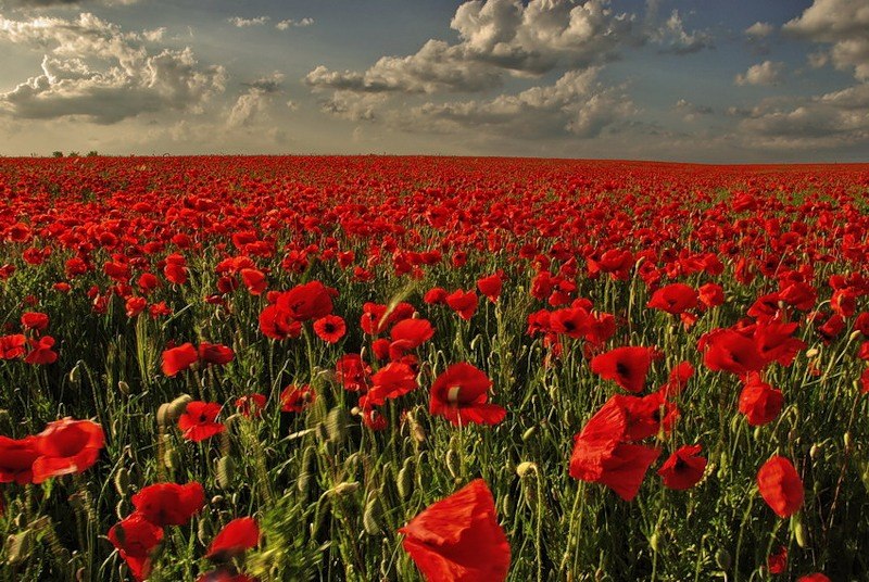 Антон Кириллов Банзай | Хотьково