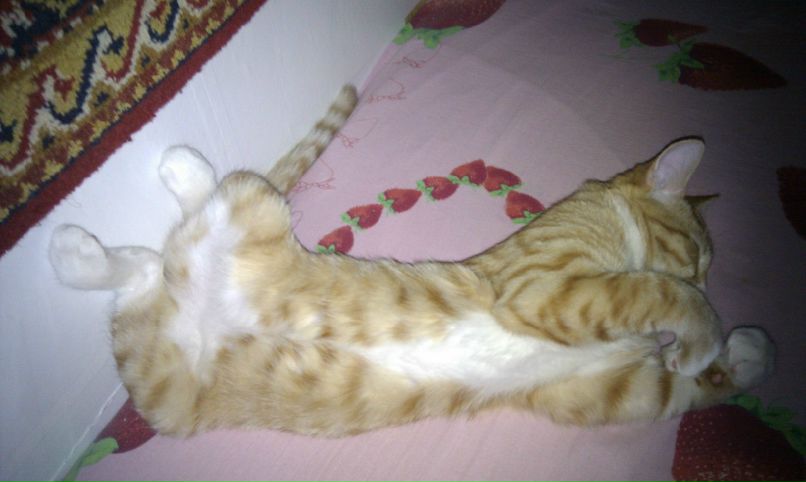 Kostya Syzdalov | Санкт-Петербург