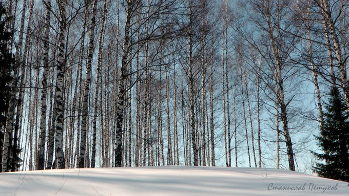 Станислав Петухов | Йошкар-Ола