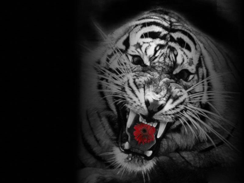 Yyyyyyyy Iyy | Черкассы