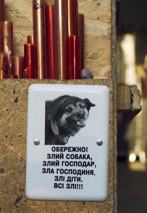 Лена Карпенко | Киев