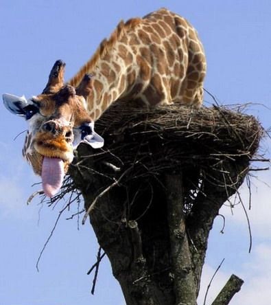 Серёга Храмцов | Хабаровск