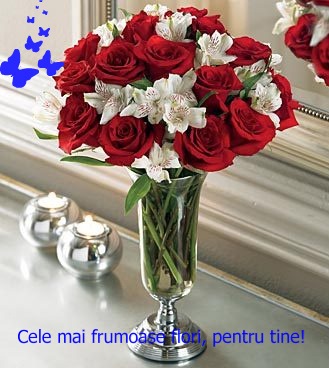 №19, Angels Wife, Одесса №19, Angels Wife, Одесса