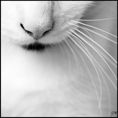 №1, Кирилл Фролов, Москва №1, Кирилл Фролов, Москва