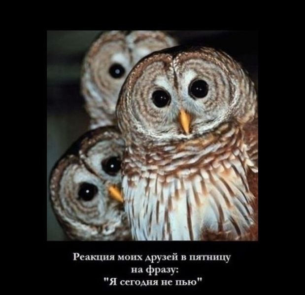 Александр Омельченко | Днепр (Днепропетровск)