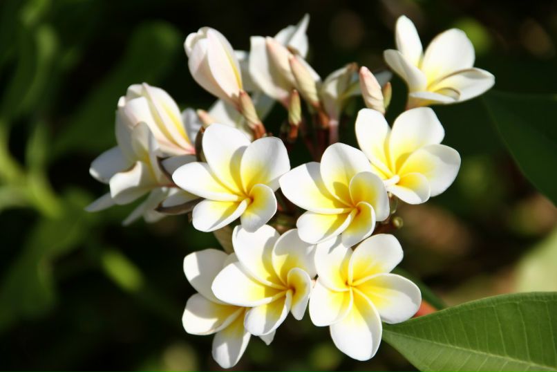 Марина Шеперкина | Чкаловск