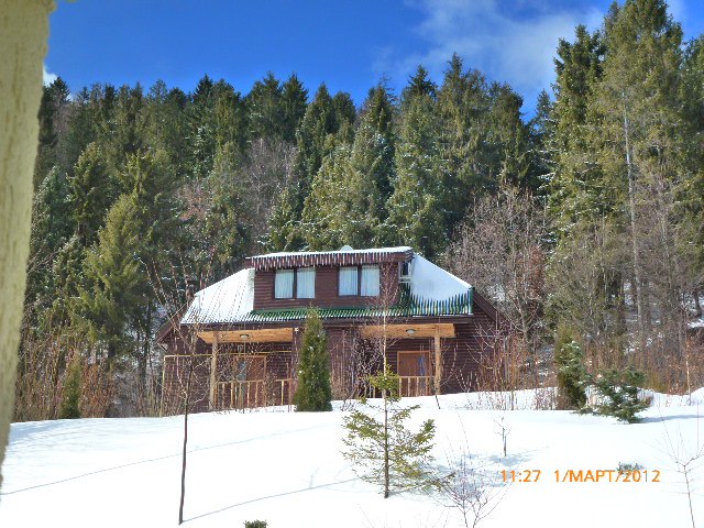 Толян Гульт | Ровно