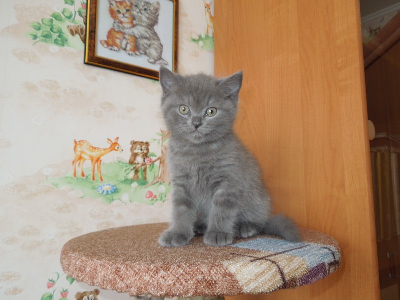 Ярослав Щербинин | Тольятти