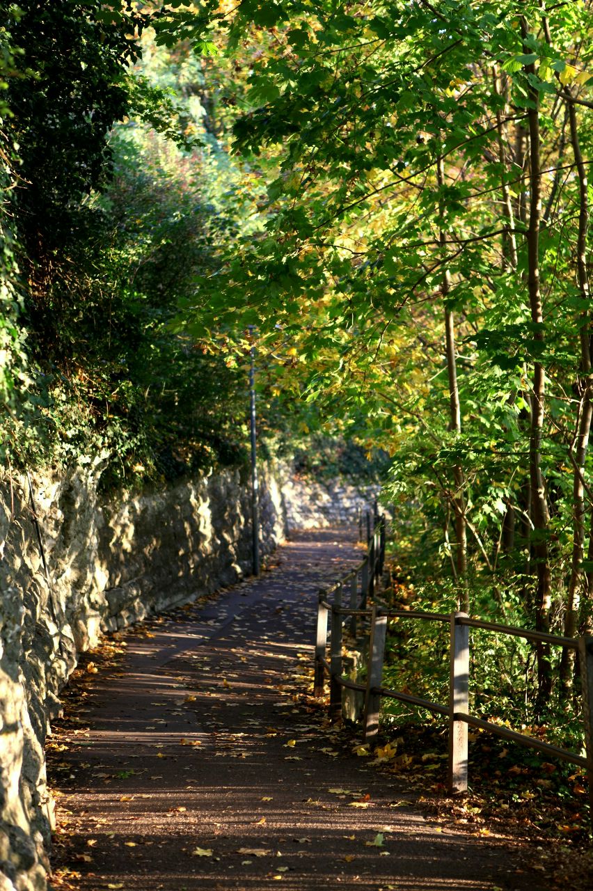 Ольга Кондрахина | Алматы