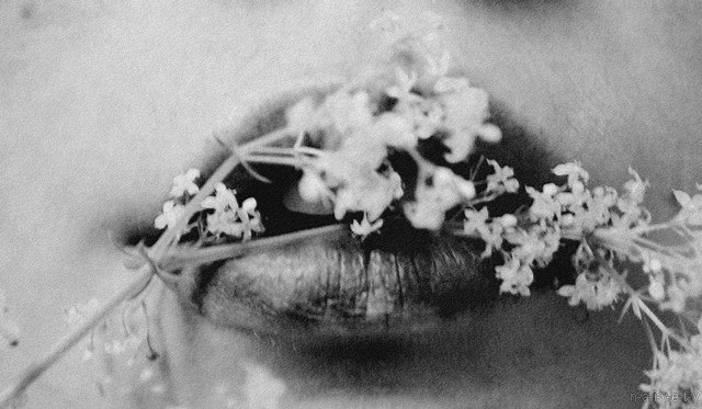 Хьюфен Анжели | 