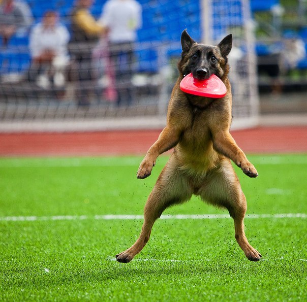 Айназ Хусаинова | Казань