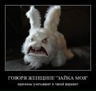 №35 Даниил Масалкин 04.05.1983: профиль, фото, статус - ВКонтакте