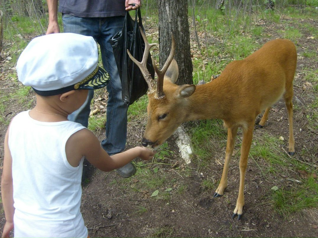 Alena Petyurkanova все отлично Petyrkanova- | Якутск