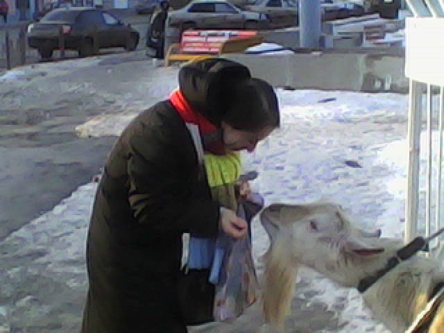 Константин Фёдоров | Ростов-на-Дону