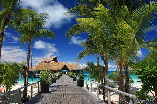 Мария Кожирнова m@l@i | Нижний Новгород