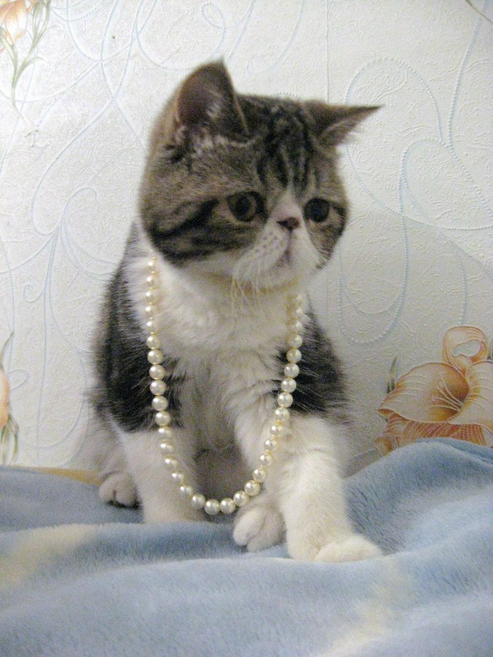 Елена Воробьёва | Екатеринбург