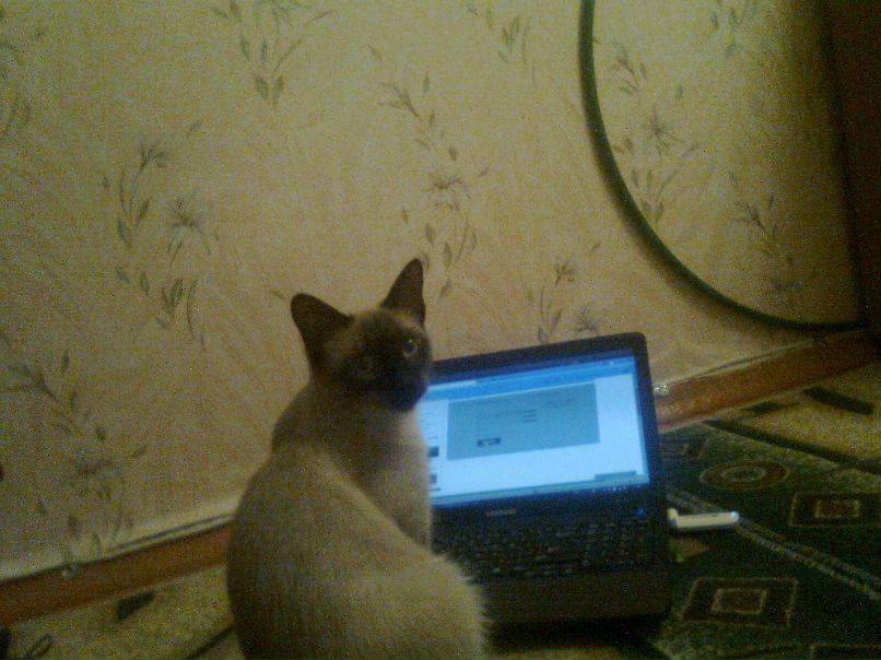 Лейсан Усманова | Казань