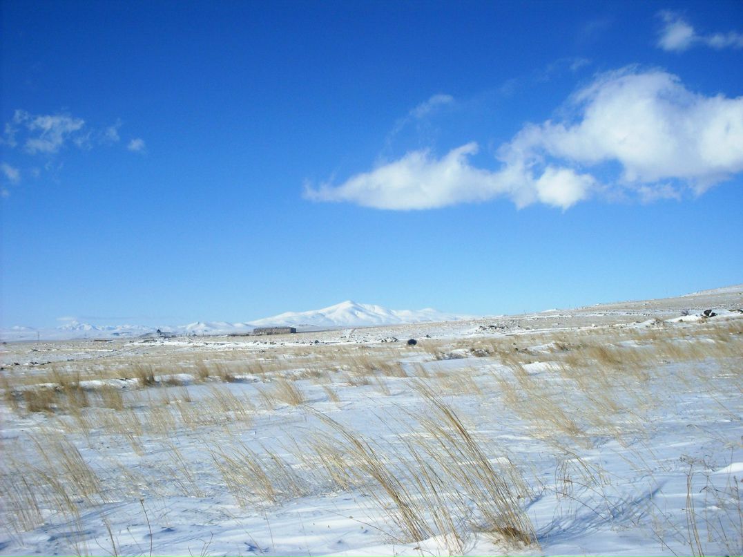 Анюта Маркелова PangoLin | Солнечногорск