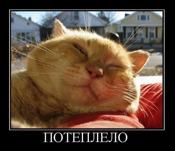 Димон Письменный TSCHORNYJ | Николаев