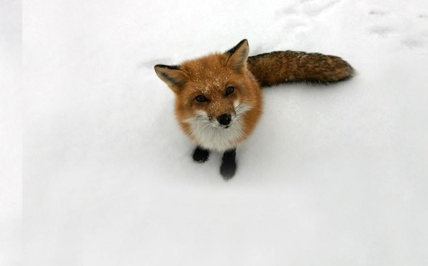 Юрий Деменев | Санкт-Петербург