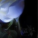 №143, Лильмо Хайбех, Луганск №143, Лильмо Хайбех, Луганск