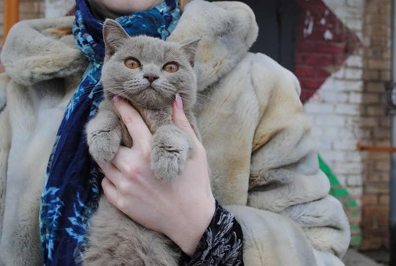 Ульяна Лукьянова | Оренбург