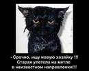 Фотография Васильева Артёма