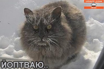 Dmitry Malygin | Москва