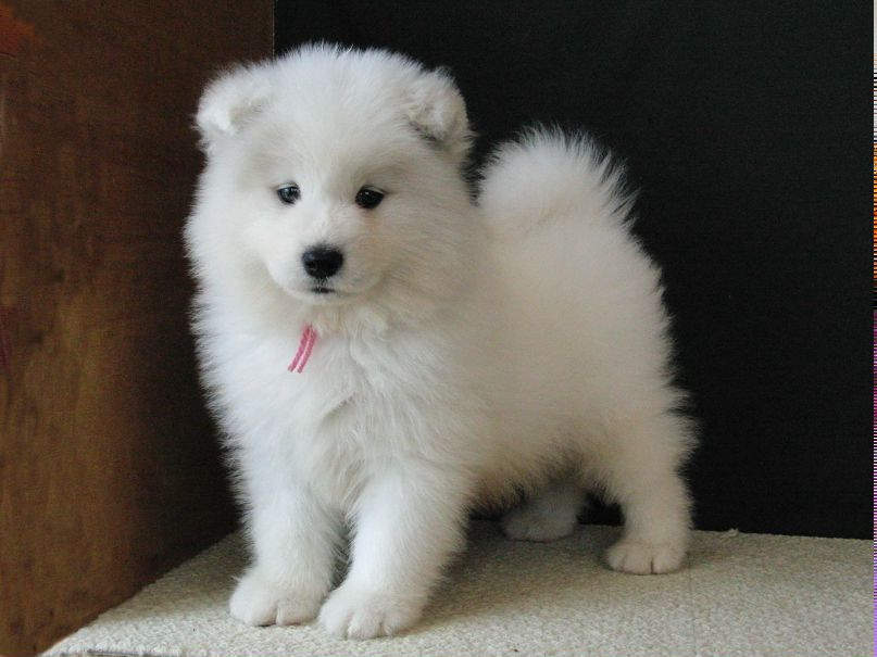 Ольга Жукова | Москва