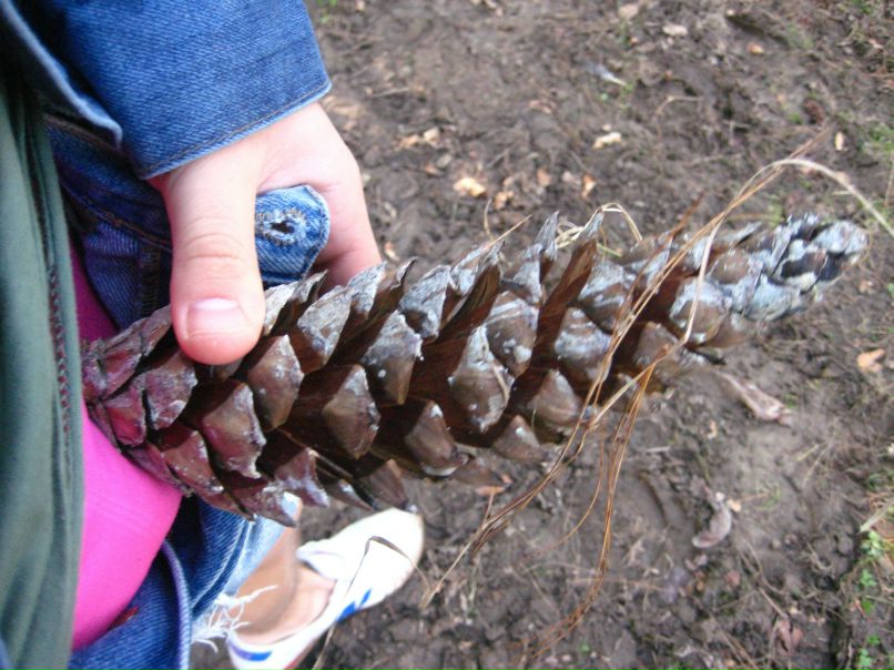 Роман Мосолов | Москва