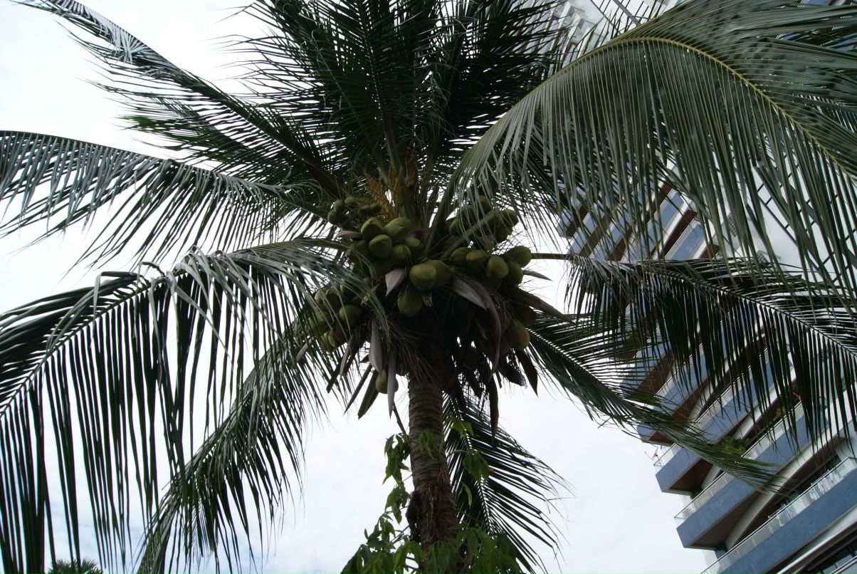 Юлия Лебединская | 