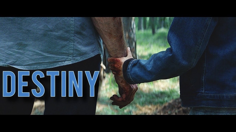 Multifandom || Destiny