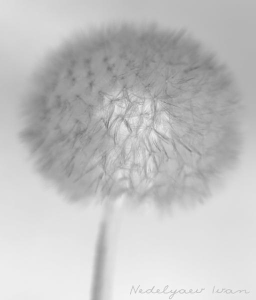 Василий Никитин Ад | Чебоксары