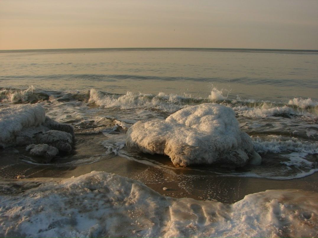Юлия Витебская | Зеленоградск