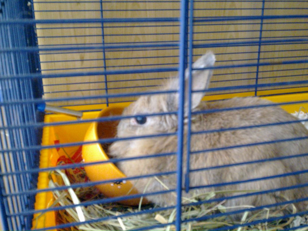 Сергей Богданов | Одесса