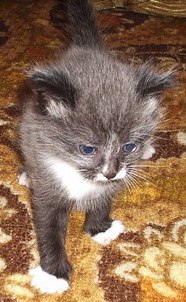 Яна Леонтьева | 