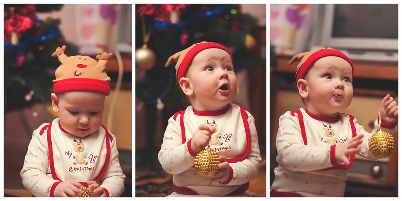 Роман Кріль | Тернополь