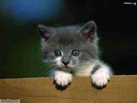 Галина Крючкова | Углич