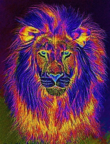 Павел Шубин | Екатеринбург