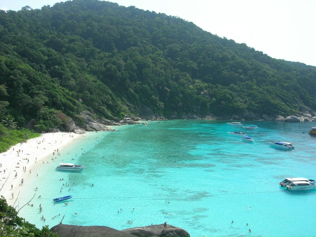 Антон Ермолов | Москва