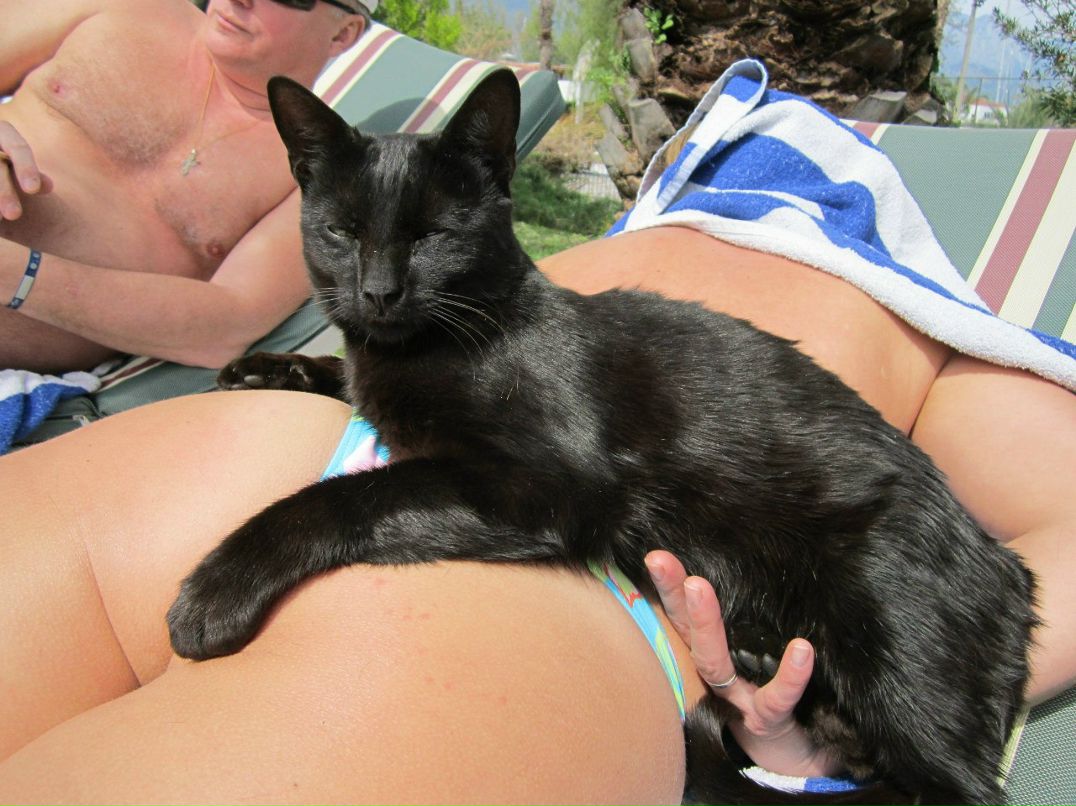 Александр Комаров | Иваново